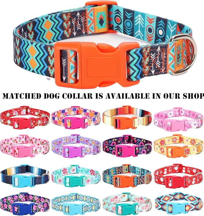 Moonpet Step in Boy Dog Harness Leash Set- All Weather Reflective No-Pull Padded Mesh Vest Harness for Cats Puppy Extra-Small Small Medium Large Dogs - Mayan Mysteries - XL