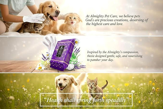 Almighty – Premium Pet Grooming Glove Wipes for Dogs & Cats | 20 Count | Instant Bath Cleaning Glove | Ultra-Thick, Hydrating & Nourishing | Deodorizing, Hypoallergenic, No-Rinse – Coconut Scent