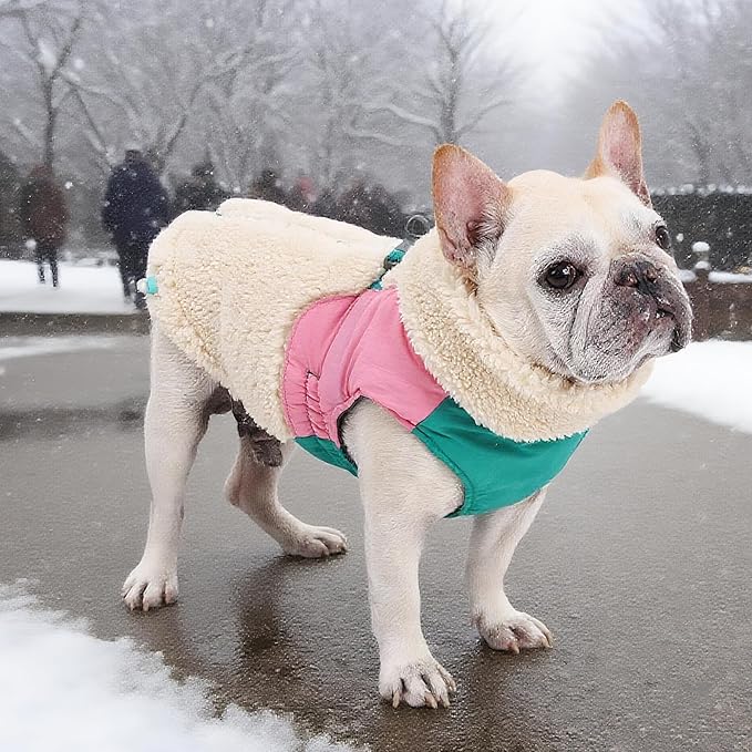 Dog Cold Weather Coats for Small Medium Large Gogs Outdoor Indoor Activities-Warm Pet Winter Clothes Jackets - Windproof Warm Colors Style Dog Vest (Beige, XX-Large)