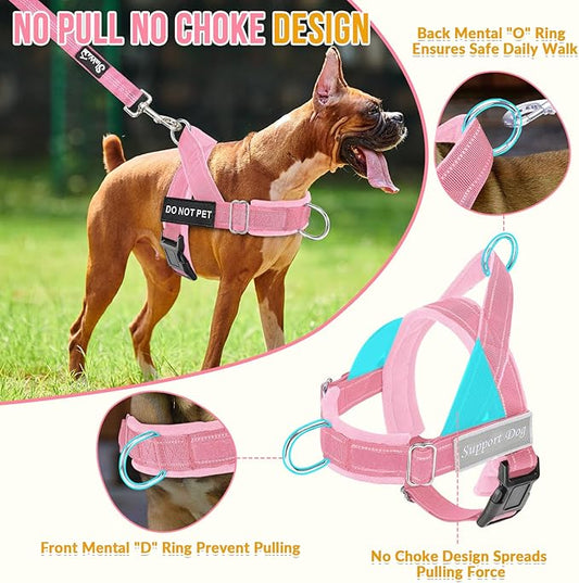 SlowTon No Pull Dog Harness - Heavy Duty Dog Harness and Leash Set for Medium Large Dogs, Reflective Tactical Harness with Soft Padded and Front Clip for Easy Walk and Training (PI, M)