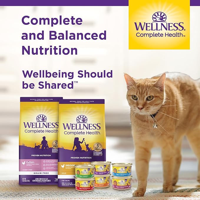 Wellness Complete Health Gravy Adult Wet Cat Food, Natural, Protein-Rich, Grain Free, 3 Ounce, 12 Pack, (Salmon Entree)