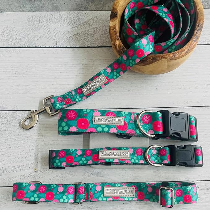 Lucky Love Dog - Adjustable Dog Collar and Leash Set with Easy Click Buckle for Small to Large Dogs, Durable, & Comfortable Collar for Male & Female Dogs, Puppies & Adult Ones - Penny Combo, Large