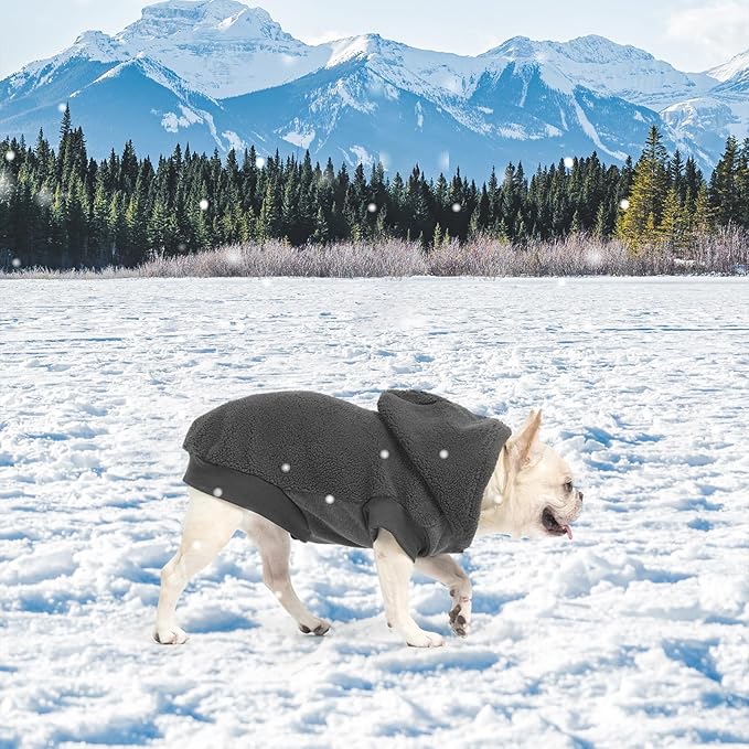 BINGPET Dog Hoodie Dog Sweater with Leash Hole, Warm Fleece Dog Sweatshirt with Hood, Cold Weather Dog Clothes Winter Coat for Puppy Small Medium Large Dogs Boy and Girl(Grey,SM)