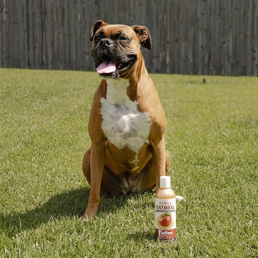 Jeffers Pet Baking Soda Pet Shampoo – Deodorizing Dog & Cat Wash with Aloe Vera, Deep Cleansing & Odor Control, Gentle for Sensitive Skin, Home Grooming Essential, Soap Free, Fresh Scent, 1 Gallon