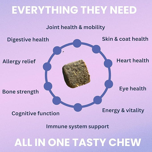 Under the Weather Multivitamin for Dogs | Vet Formulated Daily Canine Health Supplies for Immunity, Skin, Coat & Joint Support | All-in-One Multivitamin for Dogs of All Breeds & Sizes | 60 Count