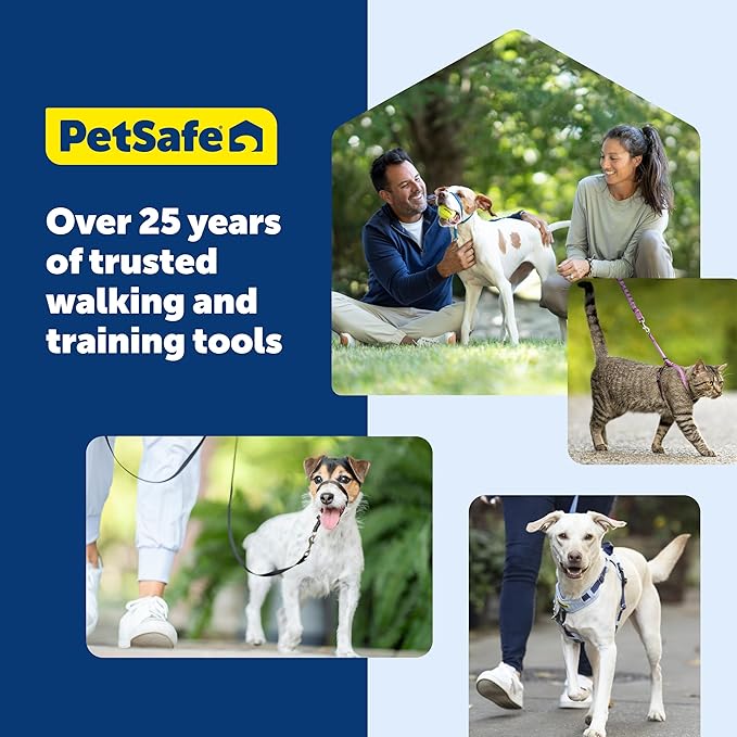 PetSafe Easy Walk Comfort No-Pull Dog Harness - Better Walk Training Harness - Full Body Padded Design - Durable Fabric - 5 Point Adjustable Fit - Everyday Leash Training - Green - Large