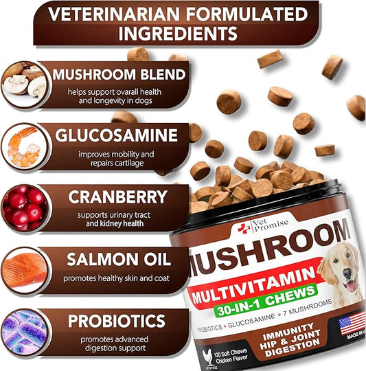 (2 Pack) Mushroom for Dogs - 340 Chews - Turkey Tail - Mushroom Supplement for Dogs - Lions Mane - Reishi - Immunity Support Multivitamin Vitamins - Joint Health - Energy - Gut - Skin - Made in USA