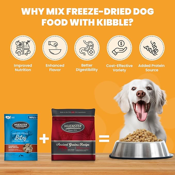Muenster Freeze Dried Beef Meatball Dog Treats 4 oz - Grain Free, Made in USA