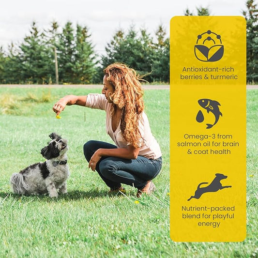 T28 Grain-Free Dog Food for Small & Toy Breeds – High Protein Trout & Salmon Meal Kibble | Chicken-Free, Limited Ingredient, Fish Dry Dog Food for Small Dogs & Puppies (12 Pounds)