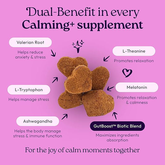 WellJoy Dog Supplement Calming+ GutBoost | Dog Health Supplement | Promotes Relaxation & Calmness | Dual-Benefit GutBoost Formulation | Vet Formulated | USA Made | Chicken Flavor | 90 Soft Chews