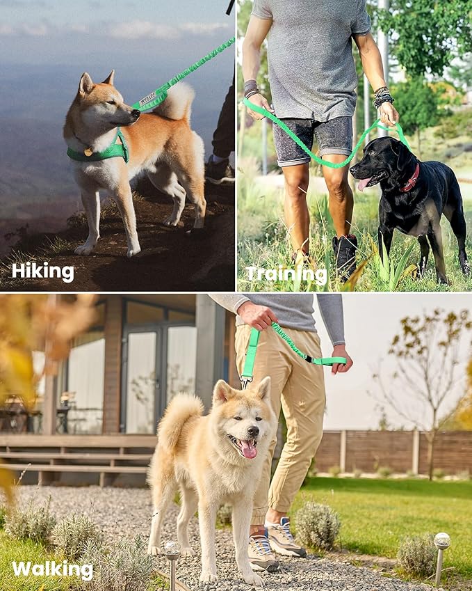 OutdoorMaster Bungee Dog Leash, Heavy Duty Dog Leash with Shock Absorption, 2 Padded Handles Training Leash, Improved Dog Safety and Comfort (Green, 4 FT)