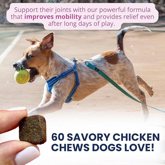 Under the Weather Pet Hip & Joint Chews for Dogs | Vet Formulated Dog Joint and Hip Supplement | Daily Chews with Chondroitin & MSM for Mobility & Flexibility Support | 60 Count