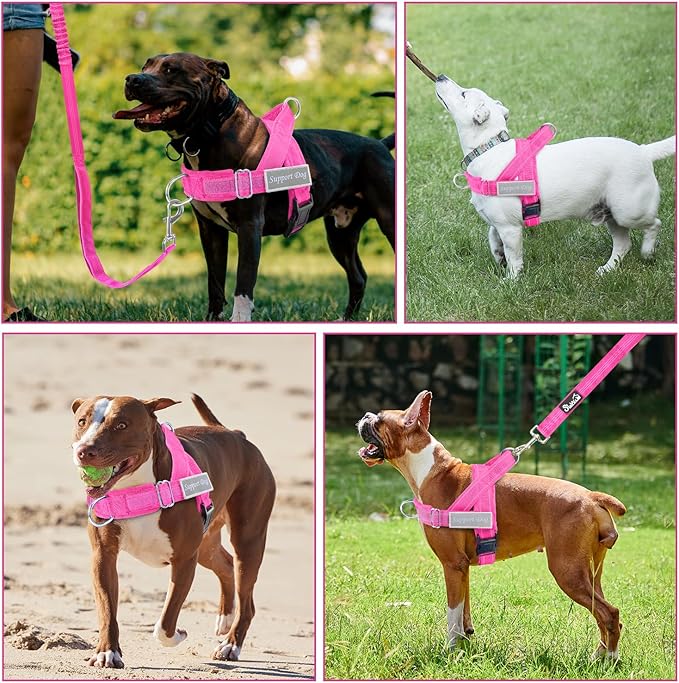 SlowTon No Pull Dog Harness - Heavy Duty Dog Harness and Leash Set for Medium Large Dogs, Reflective Tactical Harness with Soft Padded and Front Clip for Easy Walk and Training (Fuchsia S)