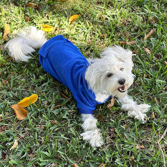 Jecikelon Winter Dog Hoodie Sweatshirts with Pockets Warm Dog Clothes for Small Dogs Chihuahua Coat Clothing Puppy Cat Custume (Dark Blue, Small)