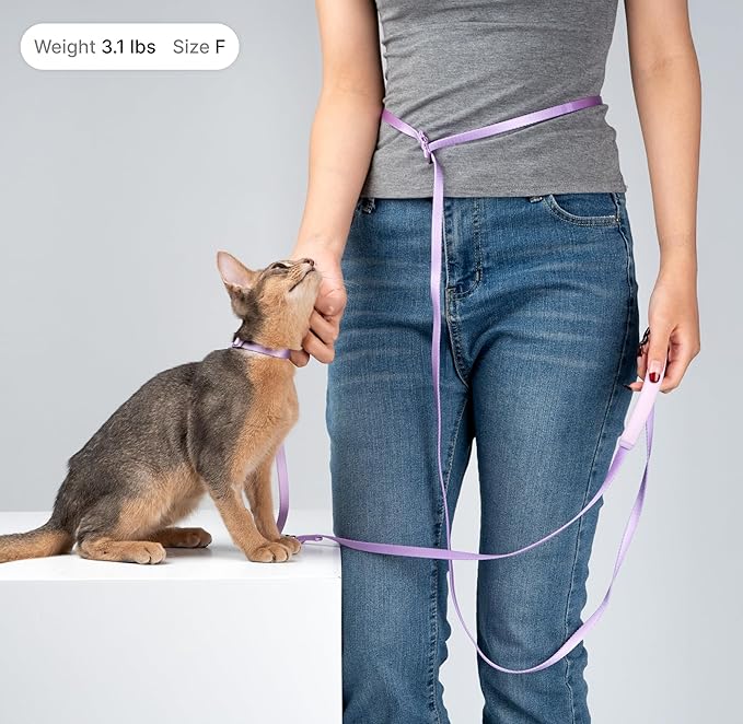 Cat Harness and Leash Set, Escape Proof Cat Harness Lightweight Leash with Padded Handle Adjustable Leash Harness for Kitten>4lbs Small Large Cats Walking Training (Vivid Red, M)