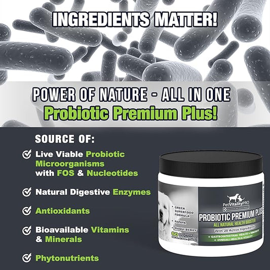 Probiotics for Dogs with Natural Digestive Enzymes ● 4 Bill CFUs/2 Soft Chews ● Dog Diarrhea Upset Stomach Yeast Gas Bad Breath Immunity Allergies Skin Itching Hot Spots ● 60 Count