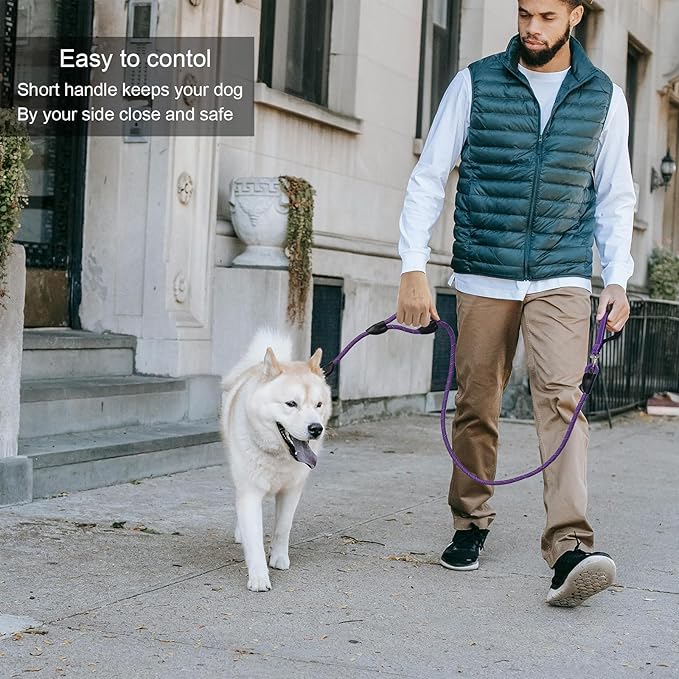 Dog Leash, 6 Foot Dog Leash, 2 Extra Padded Handles, Lockable Metal Carabiner Clip, Reflective No Pull Heavy Duty Rope Lead, Walking, Training, Running, Medium to Large Breeds(Purple)