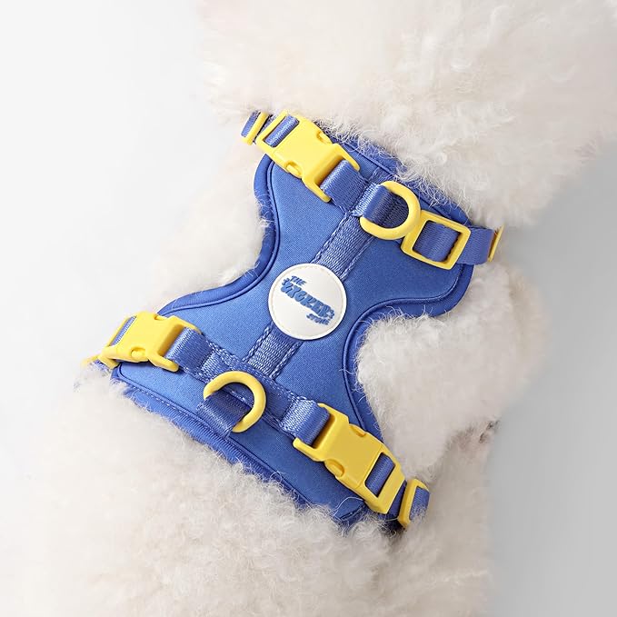 HNS1000C Arlo Extra Small Adjustable Soft Padded No Pull Pet Harness with 3 Buckles and 3 Leash Clips, Curaçao