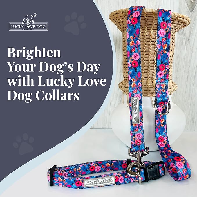 Lucky Love Dog - Adjustable Dog Collar with Easy Click Buckle for Small to Large Dogs, Durable, & Comfortable Collar for Male & Female Dogs, Pet Collar for Puppies & Adult Dogs - Zuzu, XS