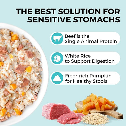 KOHA Limited Ingredient Bland Diet for Dogs, Beef and White Rice Sensitive Stomach Wet Dog Food, Sold in Over 5,000 Vet Clinics & Pet Stores, Gentle Easy to Digest Bland Diet Dog Food, Pack of 6