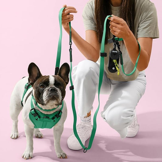 HNS1002K Arlo Medium Adjustable Soft Padded No Pull Pet Harness with 3 Buckles and 3 Leash Clips, Julep