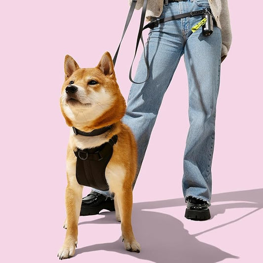 HNS1002I Arlo Medium Adjustable Soft Padded No Pull Pet Harness with 3 Buckles and 3 Leash Clips, Bitters