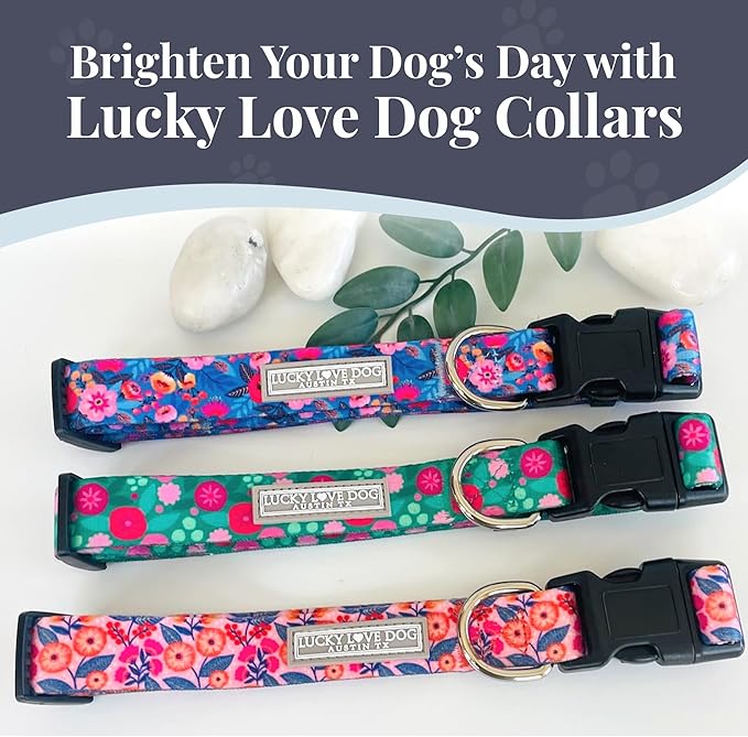 Lucky Love Dog - Easy Click Buckle Dog Collar with Leash Set Combo, Durable & Comfortable for Male & Female Dogs, Pet Collar for Small to Large Dogs, Secure Fit - Floral Rosie Combo, Medium