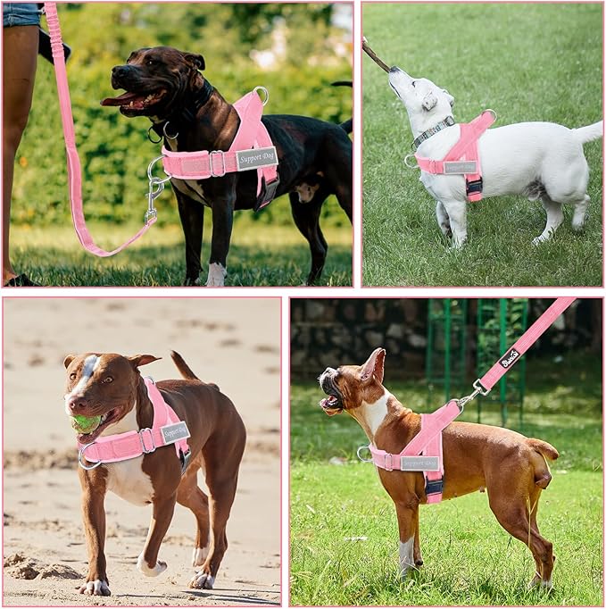 SlowTon No Pull Dog Harness - Heavy Duty Dog Harness and Leash Set for Medium Large Dogs, Reflective Tactical Harness with Soft Padded and Front Clip for Easy Walk and Training (PI, L)