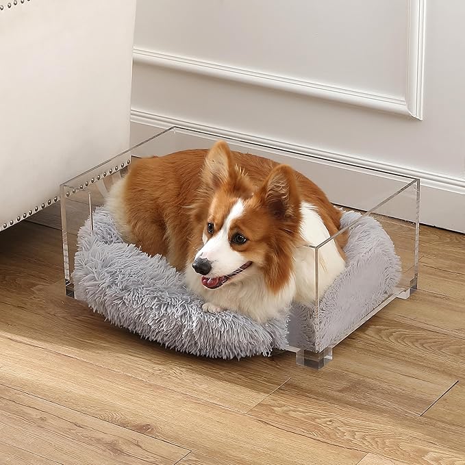 DBD2001A-2SET Billie 24" x 15.75" Small Modern Calming Fluffy Pet Bed with Washable Cushion and 4" Elevated Pet Feeder with 27 oz 2-Stainless Steel Bowls, Light Gray/Clear (Set of 2)