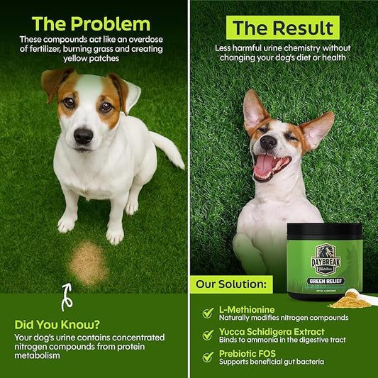 Green Relief Dog Urine Neutralizer for Lawn - Natural Grass Saver Powder Supplement with L-Methionine, Cranberry & Probiotics - Prevents Yellow Patches from Dog Pee - Made in USA