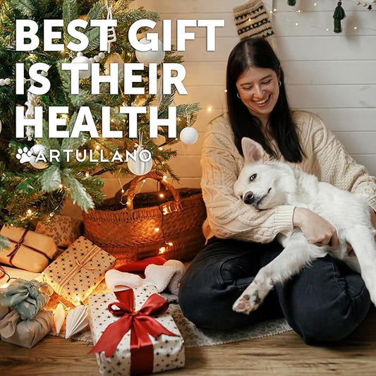 Glucosamine for Dogs Joint Pain Relief - Hemp Hip and Joint Supplement for Dogs - Chews with Chondroitin, MSM, Hemp Oil - Mobility Support - Canine Cartilage Health - 70 Soft Treats - Made in USA