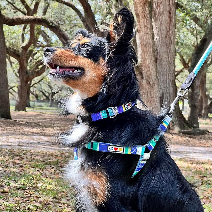 Pawtitas Multicolor Step-in Dog Harness – Adjustable No-Pull Vest for Puppies to Seniors, Safe & Comfortable S Blue/Teal/Yellow