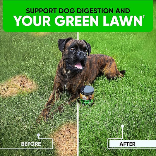 Green Lawn Chews for Dogs - Natural Dog Urine Neutralizer for Lawn with Cranberry, Probiotics, ACV & Digestive Enzymes - 120 Chews for Healthy Bladder, Urinary Tract - Grass Burn, Yellow Spots Treats