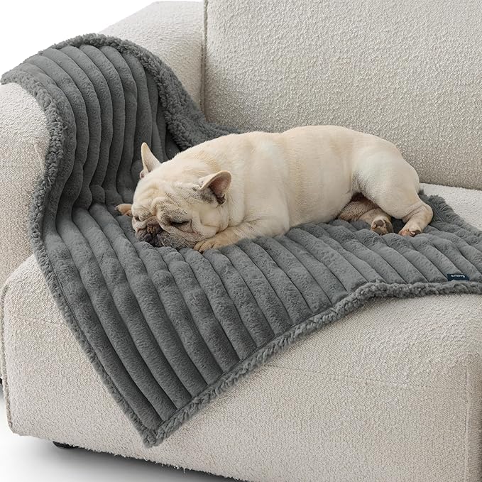 Bedsure Waterproof Dog Blankets for Medium Dogs - Soft Puppy Cat Blanket Corduroy Fleece Washable, Cozy Calming Reversible Furniture Protection for Pet Kitten Doggy,30"x40", Warm Grey