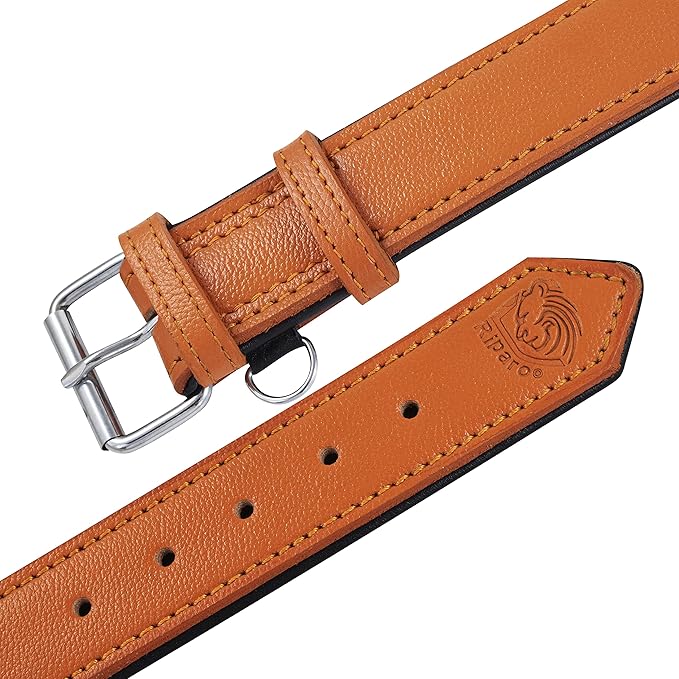Riparo Orange Dog Collar, Leather Dog Collar with Dog Tag Holder, Small Dog Collar for Small Dogs (S: 0.75” Wide for 10”-13.5” Neck, Orange)
