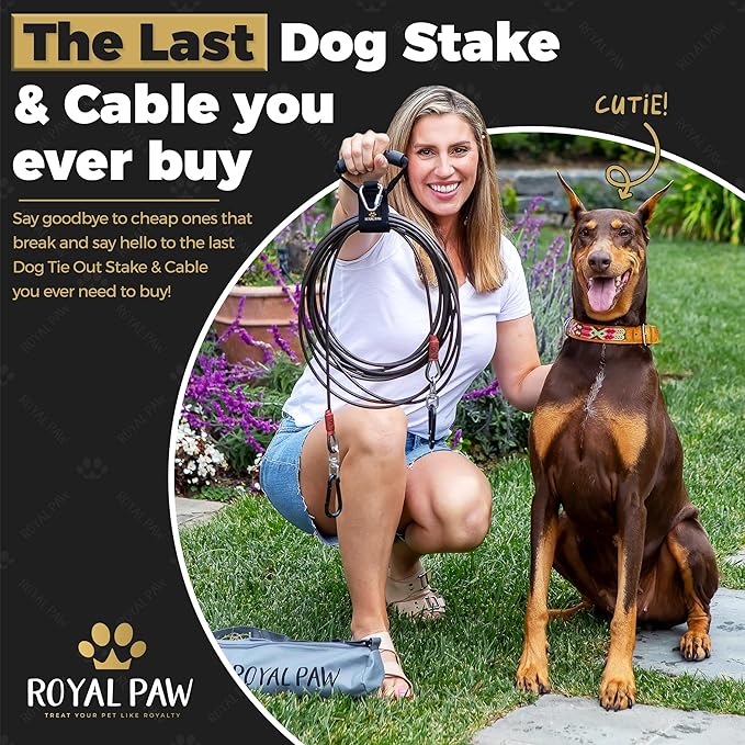 ROYAL PAW Dog Tie Out Cable and Stake 30ft - for Large Dogs up to 300 lbs - Heavy Duty Tether and Dog Stake for Yard, Beach & Camping Outside (Black, L/XL - 30ft)