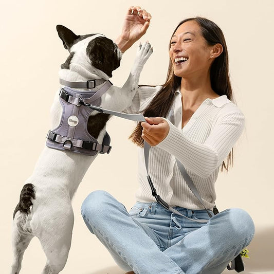 HNS1003N Arlo Large Adjustable Soft Padded No Pull Pet Harness with 3 Buckles and 3 Leash Clips, Martini