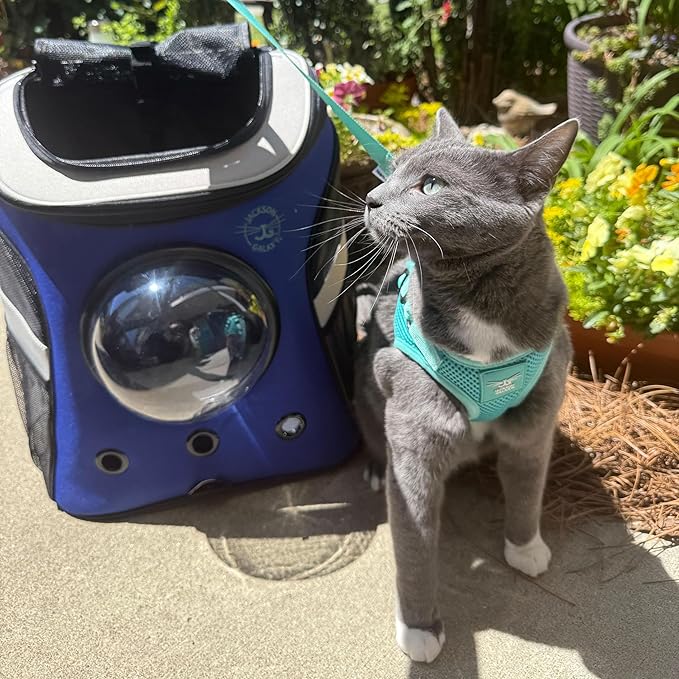 Travel Cat x Jackson Galaxy Harness and Leash Set - Adjustable Fit Mesh Cat Harness with Nylon Leash - Comfort, Escape Proof Harness for Cats, Kitten for Outdoor Walking, Hiking (Large)