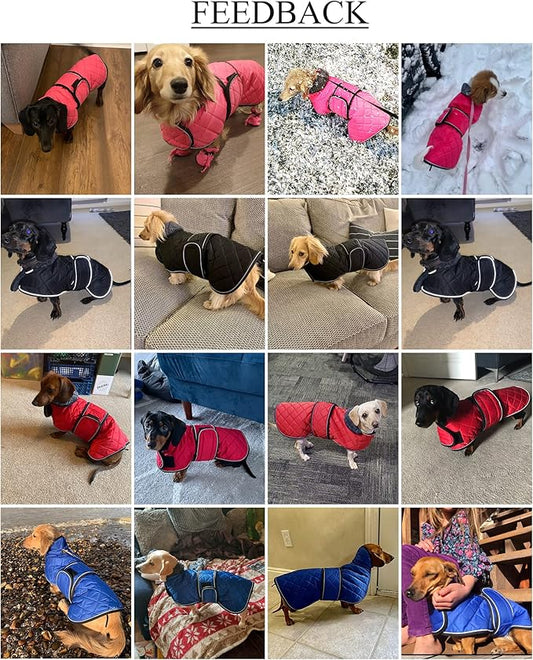 Geyecete Warm Thermal Quilted Dachshund Coat, Dog Winter Coat with Warm Fleece Lining, Outdoor Dog Apparel with Adjustable Bands for Medium, Large Dog-Red-S