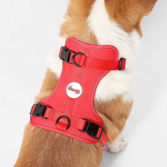 HNS1002M Arlo Medium Adjustable Soft Padded No Pull Pet Harness with 3 Buckles and 3 Leash Clips, Shirley