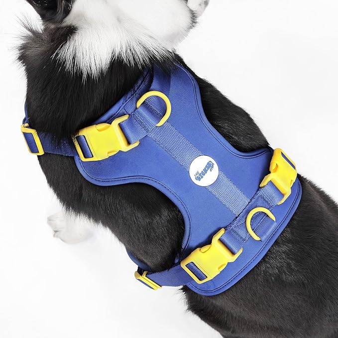 HNS1003C Arlo Large Adjustable Soft Padded No Pull Pet Harness with 3 Buckles and 3 Leash Clips, Curaçao