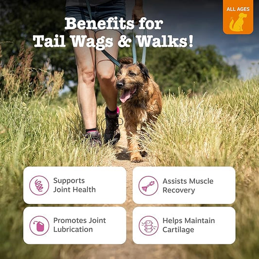 Zesty Paws Hip and Joint for Dogs, Glucosamine for Dogs Hip and Joint Supplement with Chondroitin, MSM, Vitamins C & E - Bacon, 90 Count