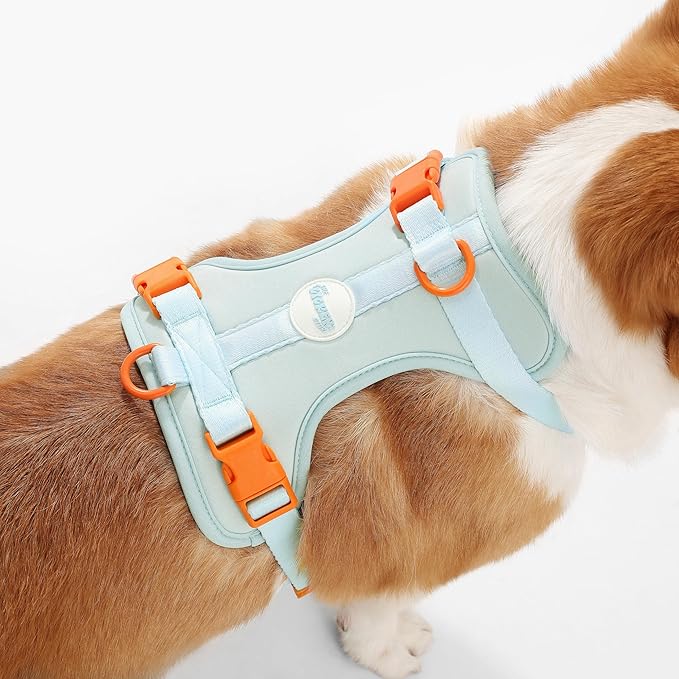 HNS1002D Arlo Medium Adjustable Soft Padded No Pull Pet Harness with 3 Buckles and 3 Leash Clips, Fishbowl