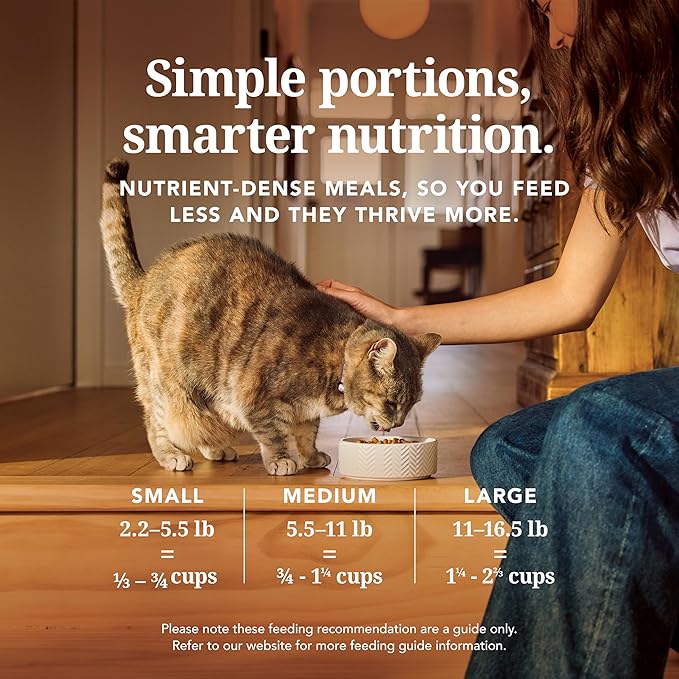 Feline Natural High Protein Dry Cat Food, Freeze-Dried Diet with 98% Meat, Organs & Seafood, No Peas, Grains, or Artificial Additives, Made in New Zealand, Chicken, 11oz