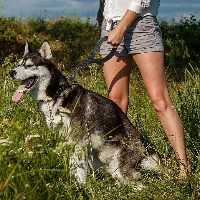 Dog Leash, Short Dog Leash, Leashes for Large Breed Dogs,Traffic Padded Handle- Reflective Training Lead, Perfect for Medium to Large Dogs(12 Inch, Black)