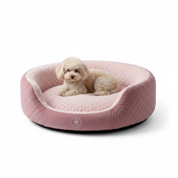 Orthopedic Bed
