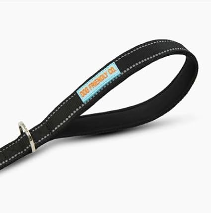 DF Co. Close Control Short Trainer Dog Leash | Strain Free & Shock Resistant, Durable Material, 65cm in Length, Heavy Duty Clips & D-Ring (Black, Small)