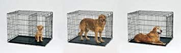 MidWest Homes for Pets Medium LifeStages Single Door 30-Inch Folding Dog Crate, Enhanced Security, Includes Leak-Proof Pan, Divider Panel, Handle, Rubber Feet