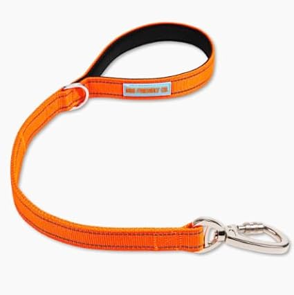 DF Co. Close Control Short Trainer Dog Leash | Strain Free & Shock Resistant, Durable Material, 65cm in Length, Heavy Duty Clips & D-Ring (Orange, Small)
