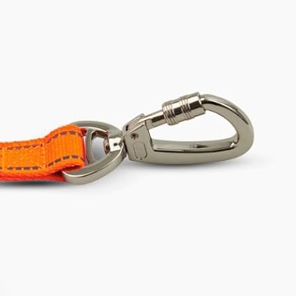 DF Co. Close Control Short Trainer Dog Leash | Strain Free & Shock Resistant, Durable Material, 65cm in Length, Heavy Duty Clips & D-Ring (Orange, Regular)